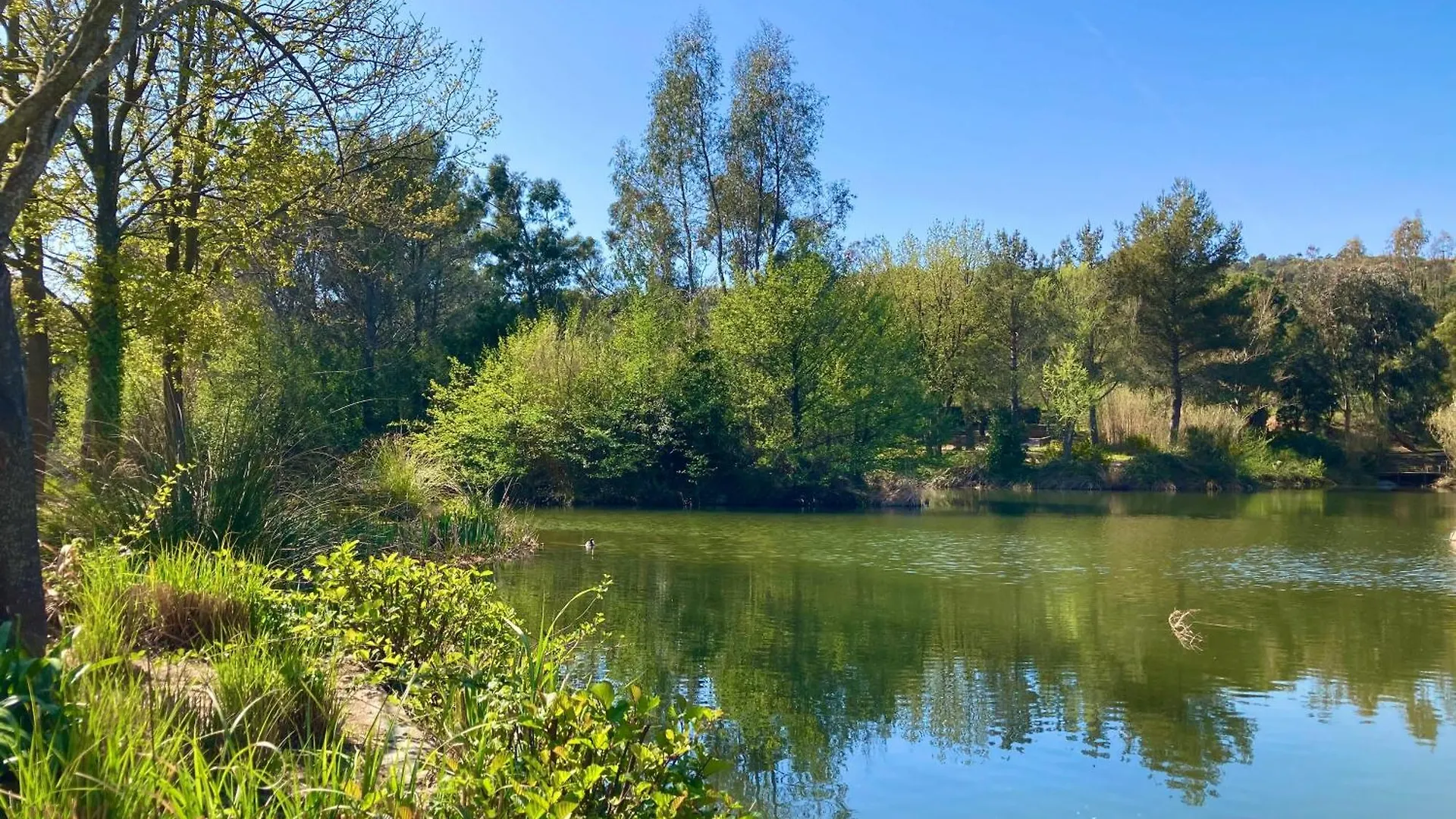 Les Restanques 30 Chenes Villa Grimaud